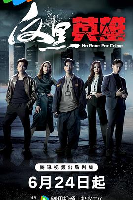 反黑英雄粤语第04集