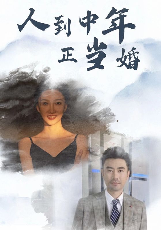 人到中年正当婚第76集