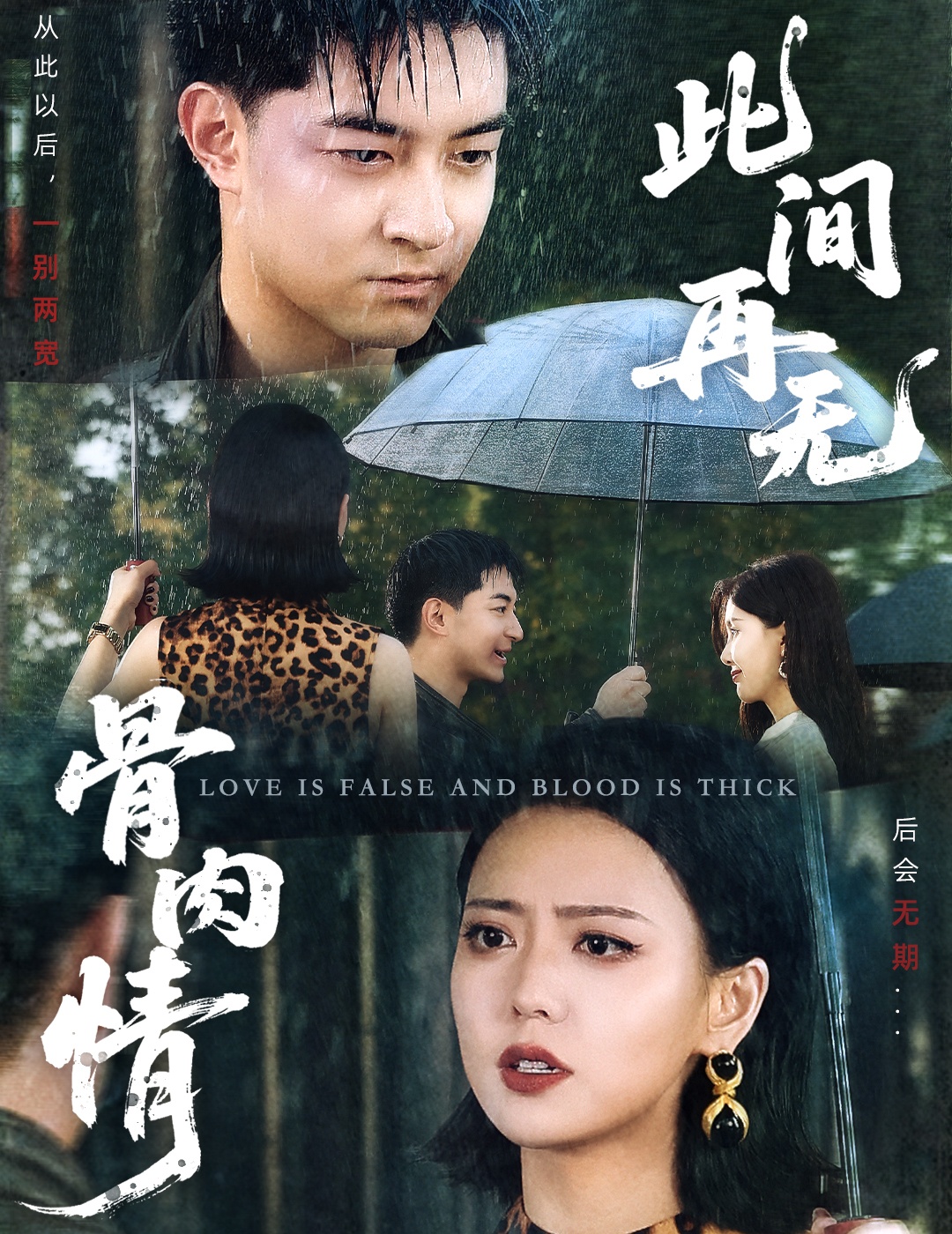 此间再无骨肉情第04集