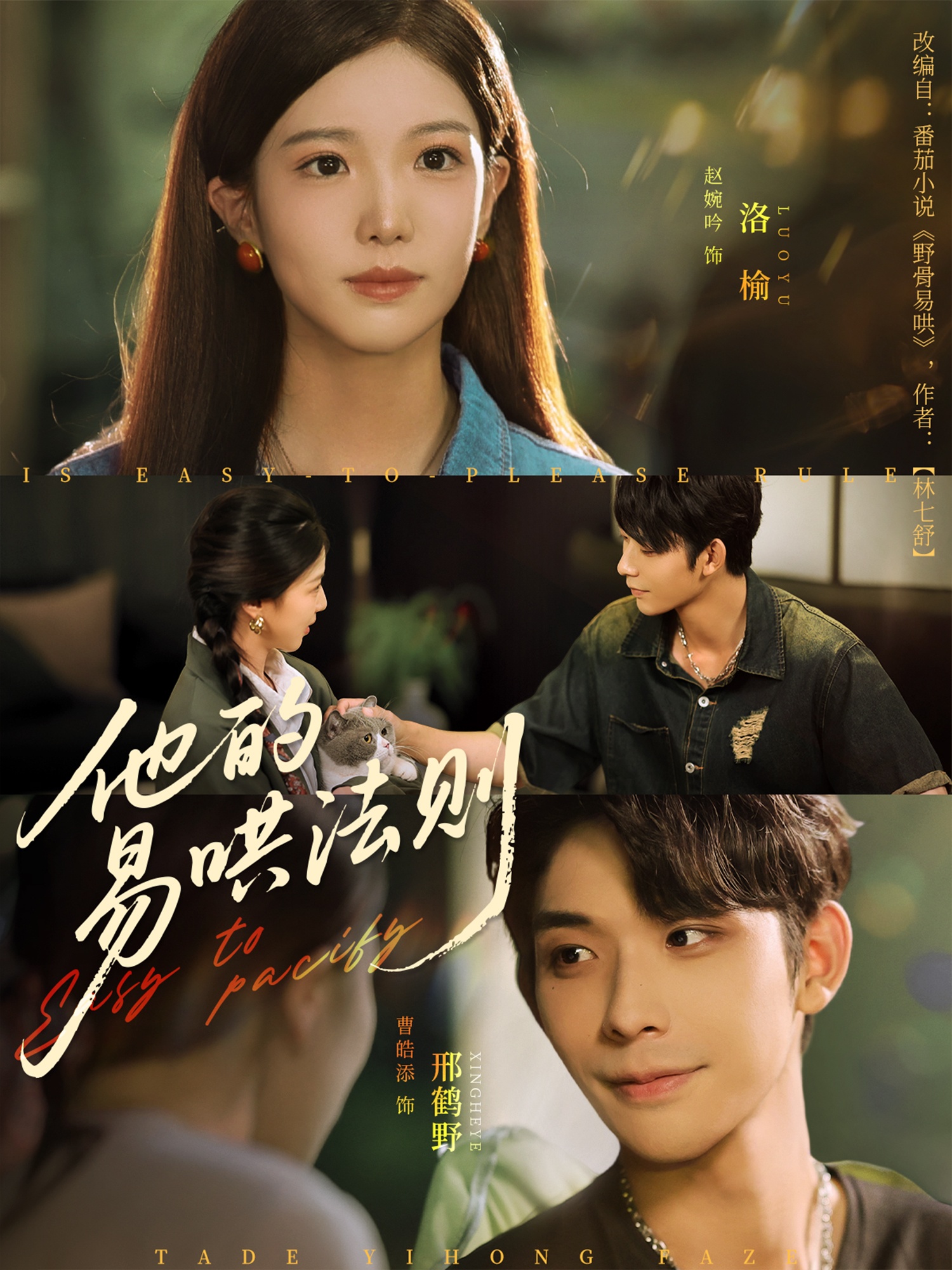 他的易哄法则第01集