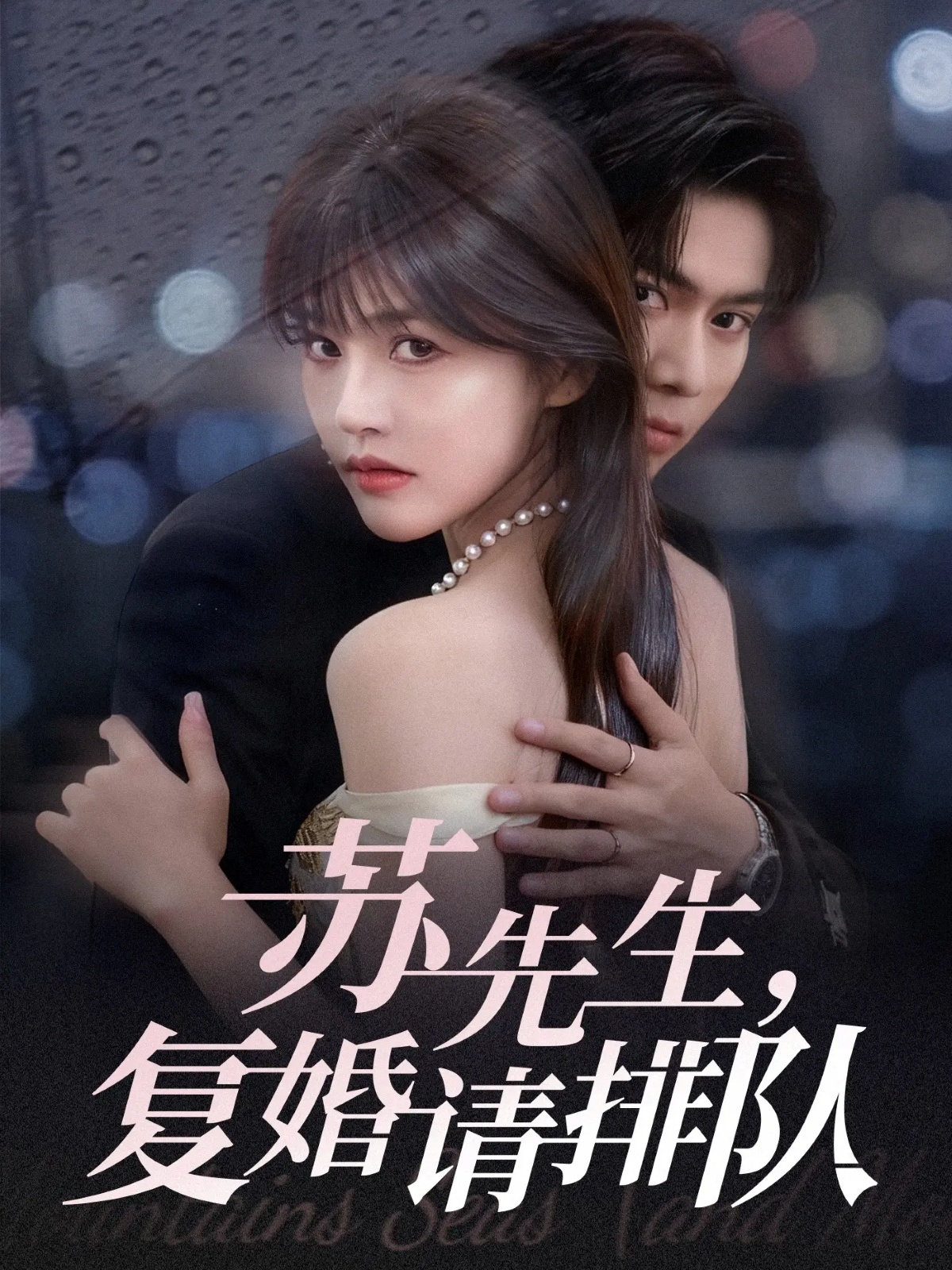 苏先生，复婚请排队全集(大结局)