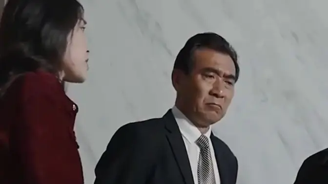 玲珑战婿第21-40集