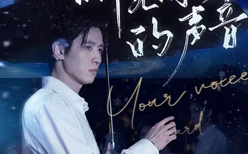 听见你的声音第41-60集