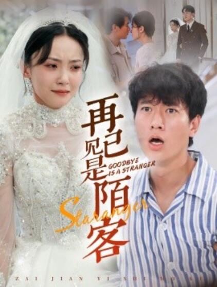 再见已是陌客 归来的星光第37集