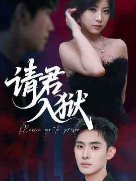 请君入狱第01集