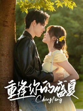 重逢你的盛夏第25集