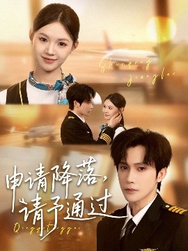 申请降落请予通过(全集)