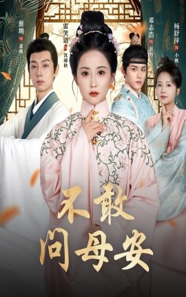 不敢问母安 母亲万福金安第22集