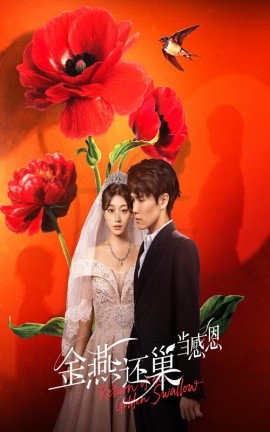 金燕还巢当感恩第01集