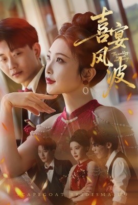 喜宴风波 替罪伴娘第28集