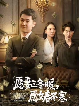 愿妻三冬暖愿女春不寒第29集
