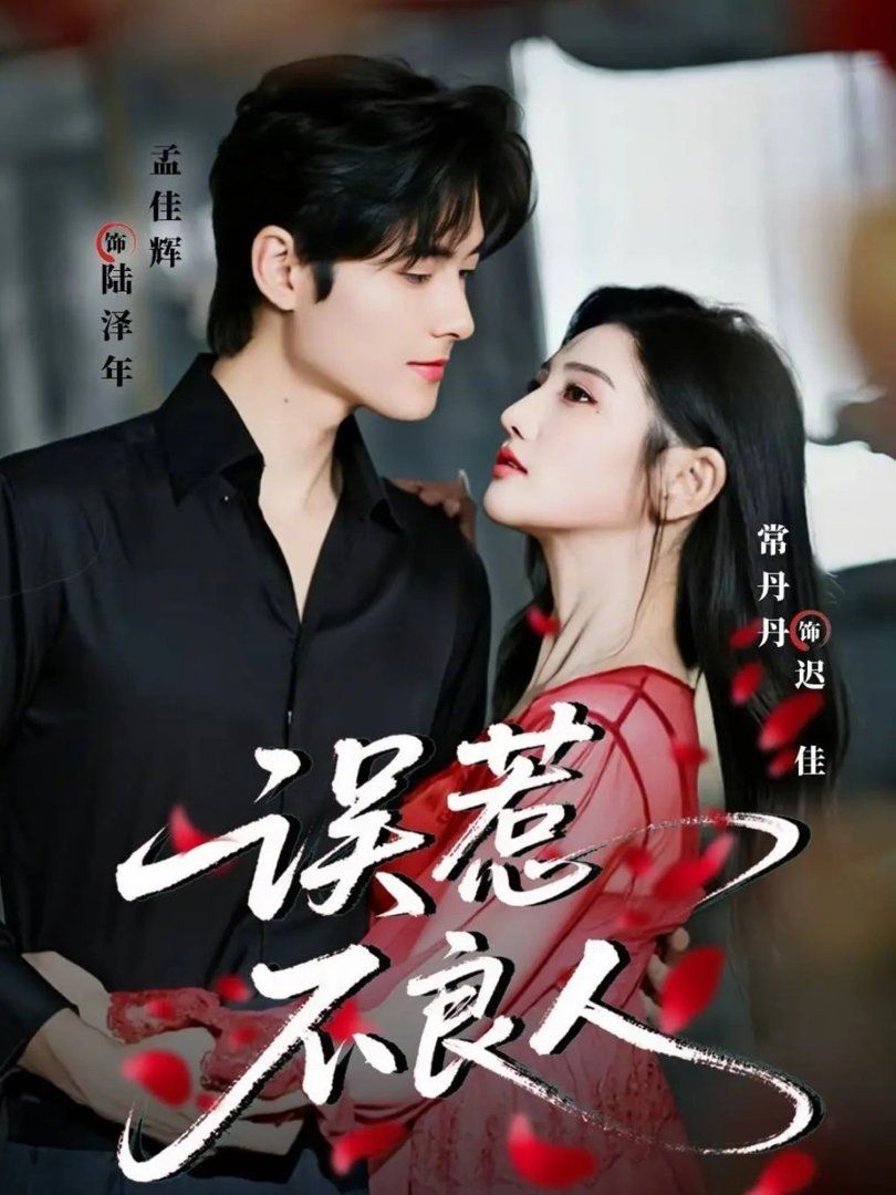 误惹不良人(全集)