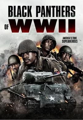 二战黑豹(全集)