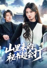 山里来的秘书超会打(全集)