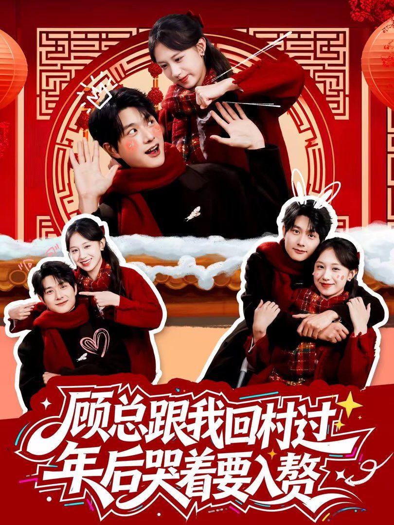 顾总跟我回村过年后哭着要入赘全集完结(大结局)