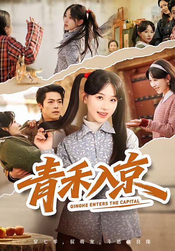 青禾入京全集完结(大结局)